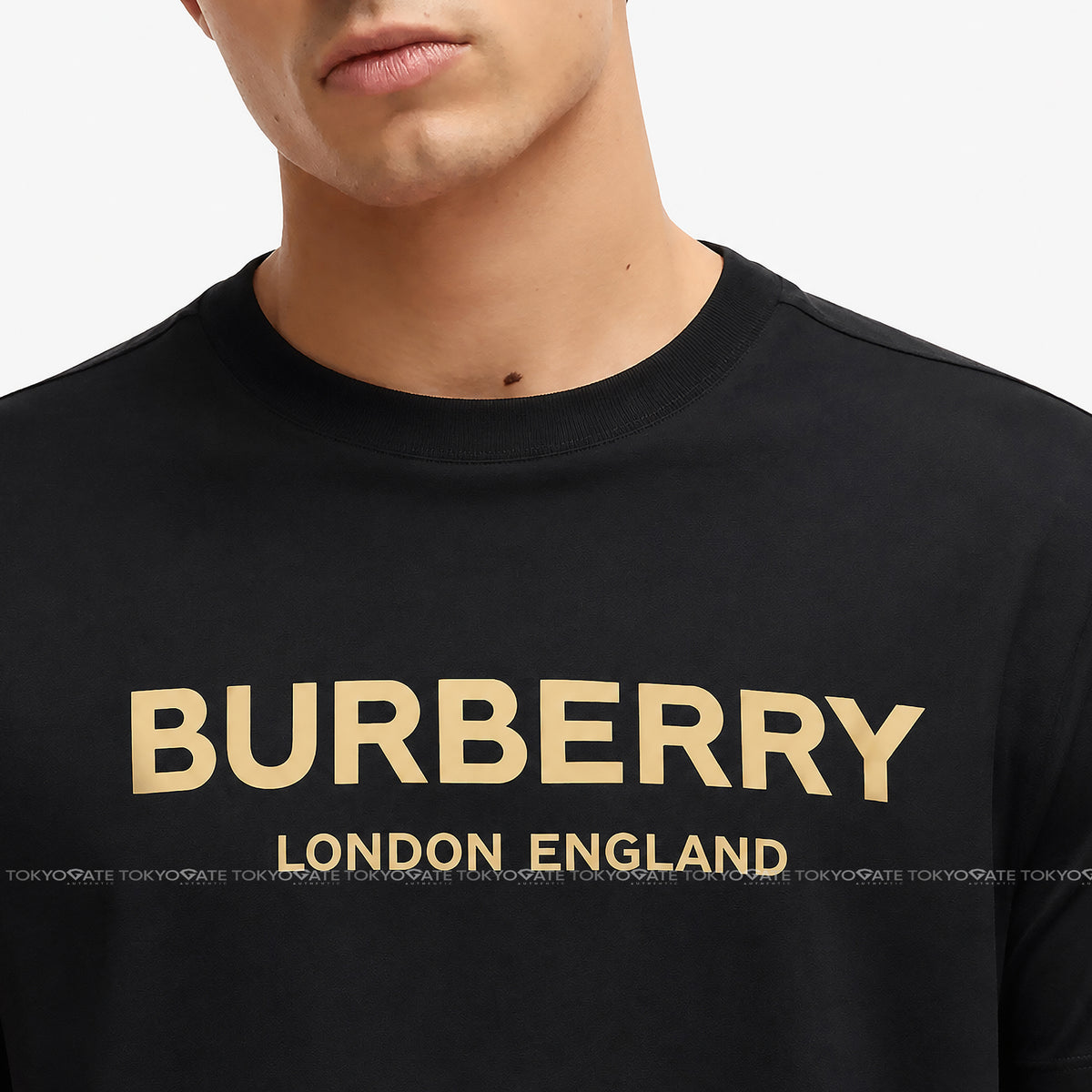 Áo phông Burberry 8104229 Ellison Logo Print T-Shirt Black Regular Fit