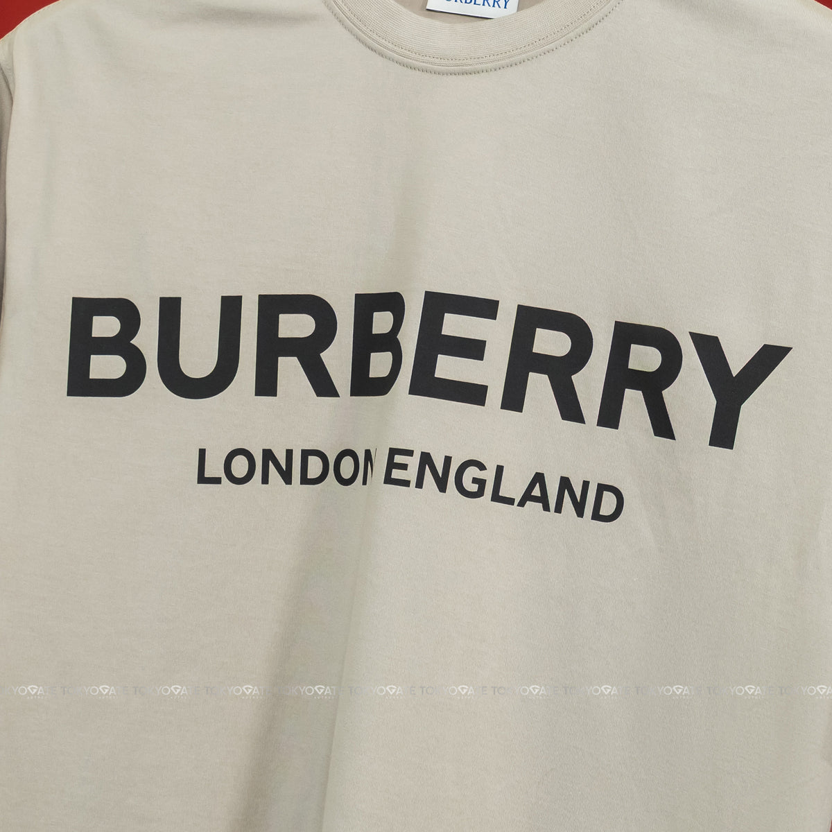 Áo phông Burberry 8104229 Ellison Logo Print T-Shirt Lichen Regular Fit