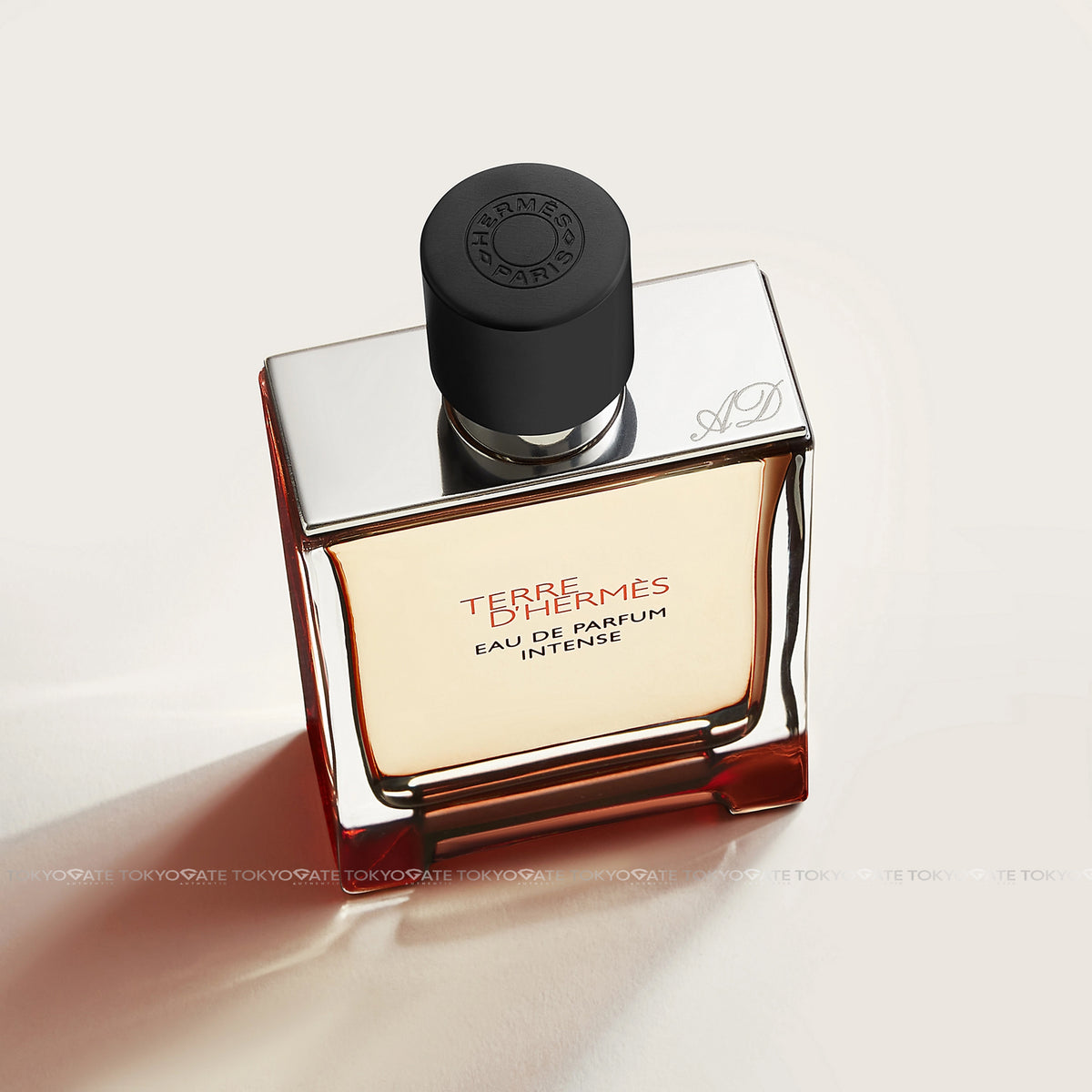 Nước Hoa Hermes Terre D'Hermes Eau De Parfum Intense - 100ml